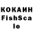 Галлюциногенные грибы Psilocybine cubensis Kote Ananyan