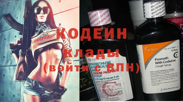 прущие грибы Переславль-Залесский
