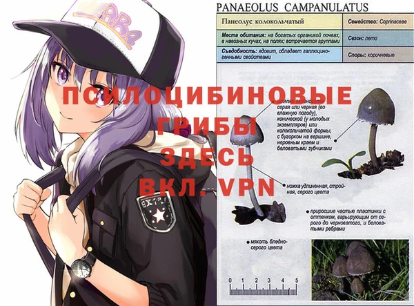 кокс Абдулино